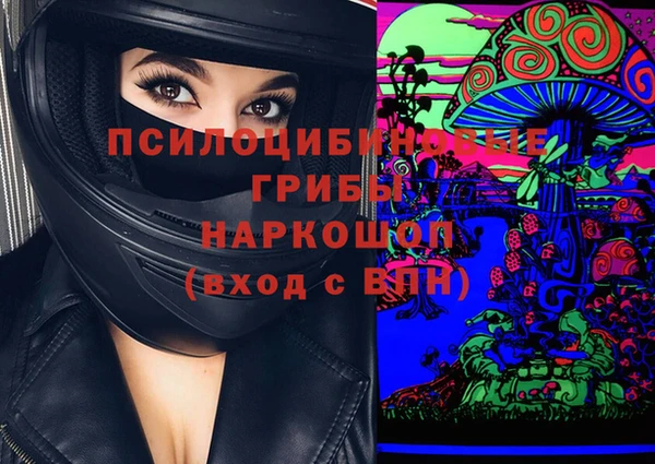 apvp Коряжма