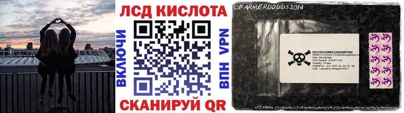 Купить закладки  Ялуторовск  Наркотические марки 1,8мг 